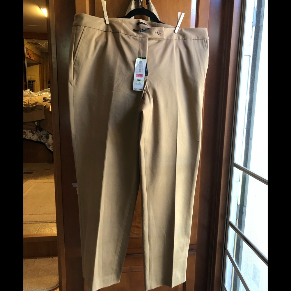 Dress pants